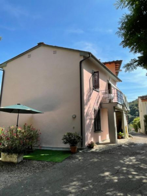 All'Agacino Lucca